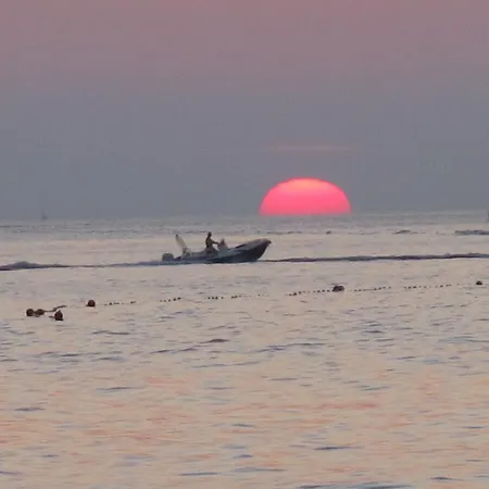 And Lucac Manus * 斯普利特