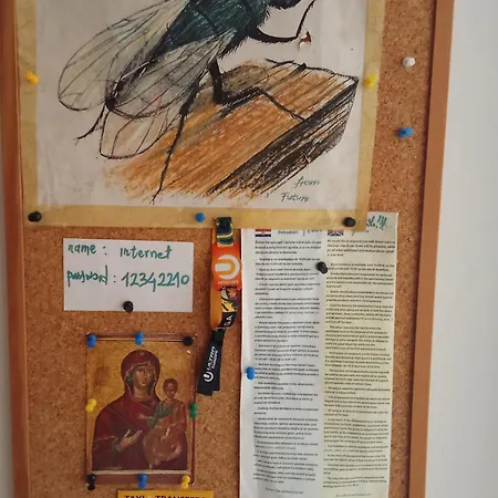 And Lucac Manus Διαμέρισμα Σπλιτ