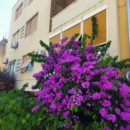 And Lucac Manus Apartment *